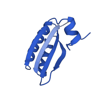 9311_6n06_GC_v1-3
Cryo-EM structure of the HO BMC shell: BMC-T1 in the assembled shell