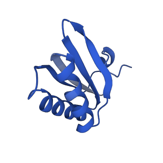 9311_6n06_GE_v1-3
Cryo-EM structure of the HO BMC shell: BMC-T1 in the assembled shell