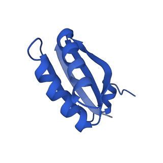 9311_6n06_GF_v1-3
Cryo-EM structure of the HO BMC shell: BMC-T1 in the assembled shell