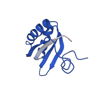 9311_6n06_HA_v1-3
Cryo-EM structure of the HO BMC shell: BMC-T1 in the assembled shell