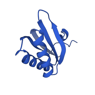 9311_6n06_HD_v1-3
Cryo-EM structure of the HO BMC shell: BMC-T1 in the assembled shell