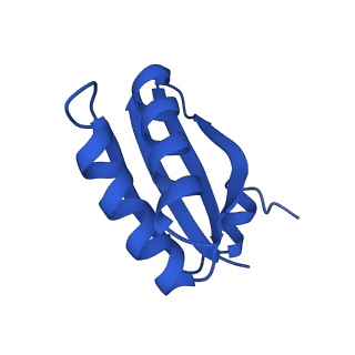 9311_6n06_HE_v1-3
Cryo-EM structure of the HO BMC shell: BMC-T1 in the assembled shell