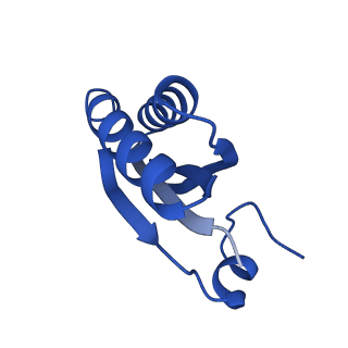 9311_6n06_HF_v1-3
Cryo-EM structure of the HO BMC shell: BMC-T1 in the assembled shell