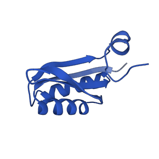 9311_6n06_IB_v1-3
Cryo-EM structure of the HO BMC shell: BMC-T1 in the assembled shell