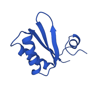 9311_6n06_IC_v1-3
Cryo-EM structure of the HO BMC shell: BMC-T1 in the assembled shell