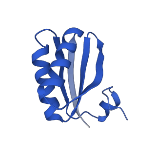 9311_6n06_ID_v1-3
Cryo-EM structure of the HO BMC shell: BMC-T1 in the assembled shell