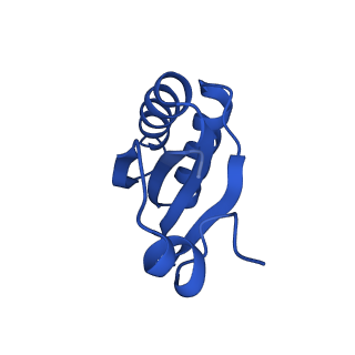 9311_6n06_IF_v1-3
Cryo-EM structure of the HO BMC shell: BMC-T1 in the assembled shell