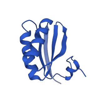 9311_6n06_JC_v1-3
Cryo-EM structure of the HO BMC shell: BMC-T1 in the assembled shell