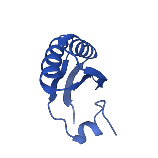 9311_6n06_JD_v1-3
Cryo-EM structure of the HO BMC shell: BMC-T1 in the assembled shell