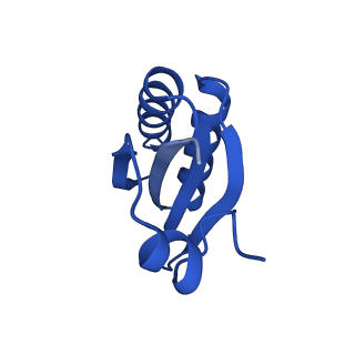 9311_6n06_JE_v1-3
Cryo-EM structure of the HO BMC shell: BMC-T1 in the assembled shell