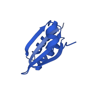 9311_6n06_JF_v1-3
Cryo-EM structure of the HO BMC shell: BMC-T1 in the assembled shell