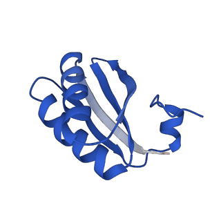 9311_6n06_KB_v1-3
Cryo-EM structure of the HO BMC shell: BMC-T1 in the assembled shell