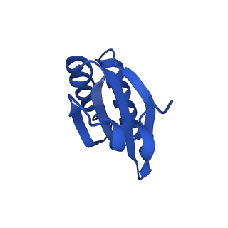 9311_6n06_KD_v1-3
Cryo-EM structure of the HO BMC shell: BMC-T1 in the assembled shell