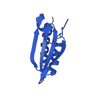 9311_6n06_KE_v1-2
Cryo-EM structure of the HO BMC shell: BMC-T1 in the assembled shell