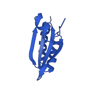 9311_6n06_KE_v1-3
Cryo-EM structure of the HO BMC shell: BMC-T1 in the assembled shell