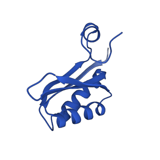 9311_6n06_KF_v1-3
Cryo-EM structure of the HO BMC shell: BMC-T1 in the assembled shell