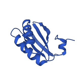 9311_6n06_LA_v1-3
Cryo-EM structure of the HO BMC shell: BMC-T1 in the assembled shell