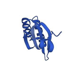 9311_6n06_LC_v1-3
Cryo-EM structure of the HO BMC shell: BMC-T1 in the assembled shell