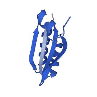 9311_6n06_LD_v1-2
Cryo-EM structure of the HO BMC shell: BMC-T1 in the assembled shell