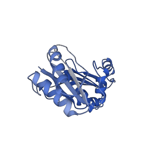 9312_6n07_A_v1-3
Structure of the HO BMC shell: BMC-TD focused map, open inner pore, compacted shell