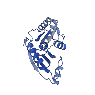 9312_6n07_B_v1-3
Structure of the HO BMC shell: BMC-TD focused map, open inner pore, compacted shell