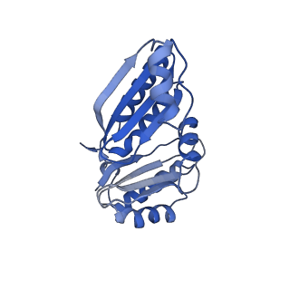 9312_6n07_C_v1-3
Structure of the HO BMC shell: BMC-TD focused map, open inner pore, compacted shell