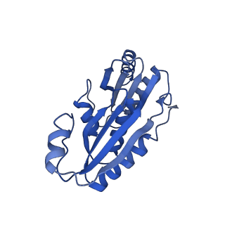 9312_6n07_D_v1-3
Structure of the HO BMC shell: BMC-TD focused map, open inner pore, compacted shell