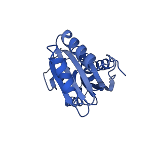 9312_6n07_F_v1-3
Structure of the HO BMC shell: BMC-TD focused map, open inner pore, compacted shell