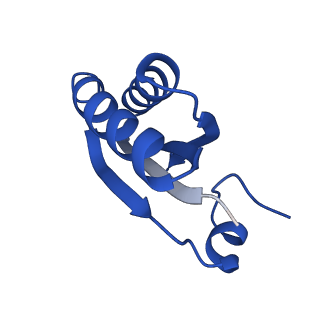 9312_6n07_GA_v1-3
Structure of the HO BMC shell: BMC-TD focused map, open inner pore, compacted shell