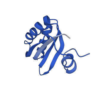 9312_6n07_GB_v1-3
Structure of the HO BMC shell: BMC-TD focused map, open inner pore, compacted shell