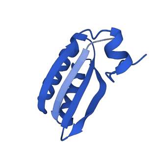 9312_6n07_GC_v1-3
Structure of the HO BMC shell: BMC-TD focused map, open inner pore, compacted shell