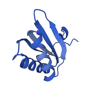 9312_6n07_GE_v1-3
Structure of the HO BMC shell: BMC-TD focused map, open inner pore, compacted shell