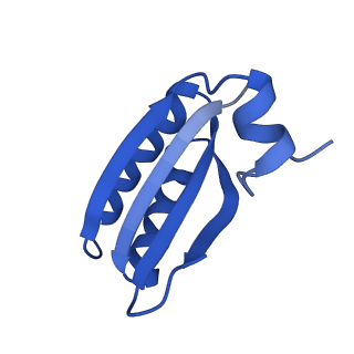 9312_6n07_HB_v1-3
Structure of the HO BMC shell: BMC-TD focused map, open inner pore, compacted shell