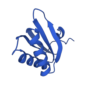 9312_6n07_HD_v1-3
Structure of the HO BMC shell: BMC-TD focused map, open inner pore, compacted shell