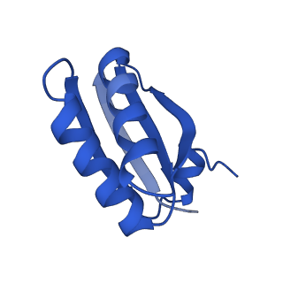 9312_6n07_HE_v1-3
Structure of the HO BMC shell: BMC-TD focused map, open inner pore, compacted shell