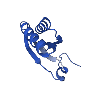 9312_6n07_HF_v1-3
Structure of the HO BMC shell: BMC-TD focused map, open inner pore, compacted shell