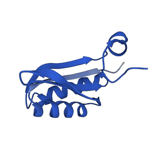 9312_6n07_IB_v1-3
Structure of the HO BMC shell: BMC-TD focused map, open inner pore, compacted shell