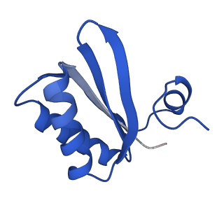 9312_6n07_IC_v1-3
Structure of the HO BMC shell: BMC-TD focused map, open inner pore, compacted shell