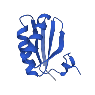 9312_6n07_ID_v1-3
Structure of the HO BMC shell: BMC-TD focused map, open inner pore, compacted shell