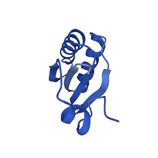 9312_6n07_IF_v1-3
Structure of the HO BMC shell: BMC-TD focused map, open inner pore, compacted shell