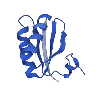 9312_6n07_JC_v1-3
Structure of the HO BMC shell: BMC-TD focused map, open inner pore, compacted shell