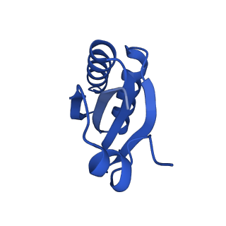 9312_6n07_JE_v1-3
Structure of the HO BMC shell: BMC-TD focused map, open inner pore, compacted shell