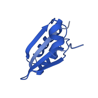 9312_6n07_JF_v1-3
Structure of the HO BMC shell: BMC-TD focused map, open inner pore, compacted shell