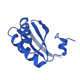 9312_6n07_KB_v1-3
Structure of the HO BMC shell: BMC-TD focused map, open inner pore, compacted shell