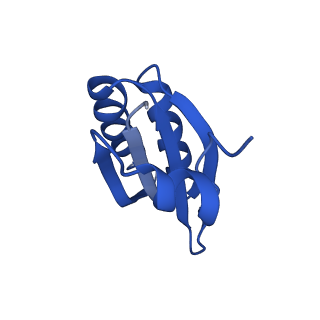 9312_6n07_KD_v1-3
Structure of the HO BMC shell: BMC-TD focused map, open inner pore, compacted shell