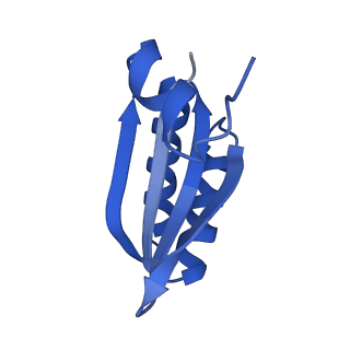 9312_6n07_KE_v1-3
Structure of the HO BMC shell: BMC-TD focused map, open inner pore, compacted shell