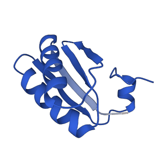 9312_6n07_LA_v1-3
Structure of the HO BMC shell: BMC-TD focused map, open inner pore, compacted shell