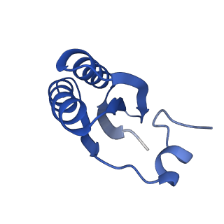 9312_6n07_LB_v1-3
Structure of the HO BMC shell: BMC-TD focused map, open inner pore, compacted shell