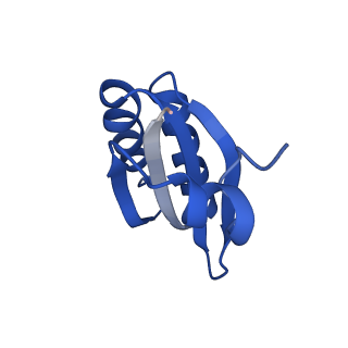 9312_6n07_LC_v1-3
Structure of the HO BMC shell: BMC-TD focused map, open inner pore, compacted shell