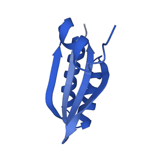 9312_6n07_LD_v1-3
Structure of the HO BMC shell: BMC-TD focused map, open inner pore, compacted shell